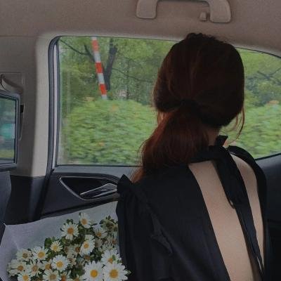 重生退婚妻第二季